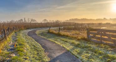 Frost and Low Temperatures Bring Challenges to Illinois Farmers