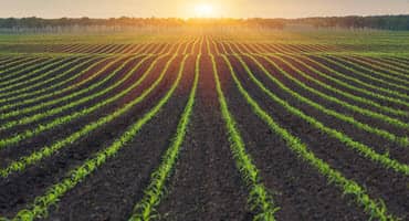 Illinois Farmers Making Good Progress on Crop Planting
