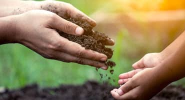 Poor Soils Lose Carbon Regardless of Crop Residue and Nitrogen Inputs