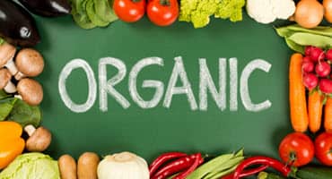 USDA Accepting Applications to Help Cover Costs of Organic Producers