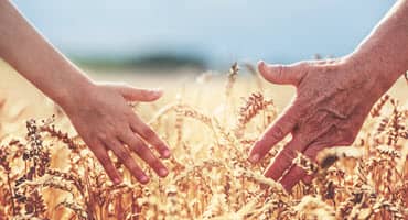 Wisconsin Agriculture Groups Rally for Legislative Support