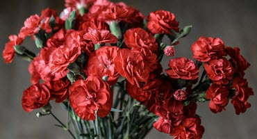 Wisconsin Department of Agriculture Cautions Consumers of Mother's Day Flower Scams