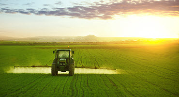Kentucky Agriculture Soars to Record Cash Receipts Amidst Challenges and Diversification