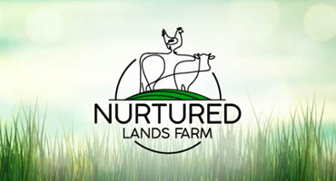 Nurtured Lands Farm: A Journey of Regeneration and Success in Western Kentucky