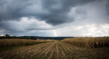Traders on Edge as Weather Threatens Corn Yields