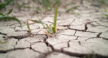 MO Farmers Learn From the 2022 Drought
