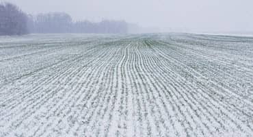 Talk of Delayed Plant Grows as Northern Plains is Hit by Another Snow Storm