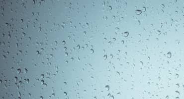 Wet March Delights Corn Farmers in Some States While Others Face Challenges