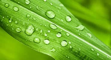 US Spring Planting Faces High Soil Moisture