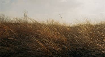 USDA Announces Grassland Conservation Reserve Program
