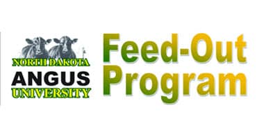 North Dakota Angus University Feed-out Program Gearing Up