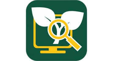 NDSU Analyzer Helps With Prevented-planting Decisions