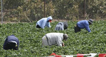 Agriculture Unions, With Church’s Support, Fight Uphill Battle for Farmworkers’ Rights, Dignity