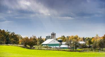 Farmers Hope to See Educational Support, Crop Insurance and Broadband in 2023 Farm Bill