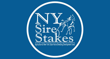 Agriculture & New York State Horse Breeding Development Fund accepting yearling nominations
