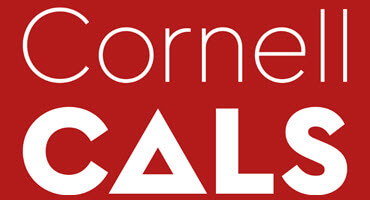 CALS Program Assistant Builds Community Here and Abroad