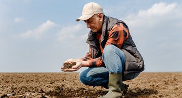 Dry Conditions Challenge MO Forage Production