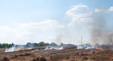 Mid-Missouri River Prescribed Burn Association: a Landowner-led Effort Along the Missouri River