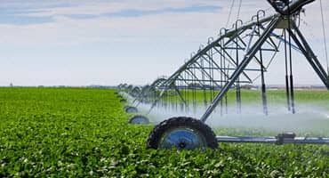 Current Information About Agricultural Water for Produce Growers