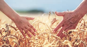 Preserving Crop Insurance a Priority for Minnesota Farm Bureau