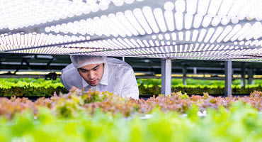 Vertical Farming Project to Develop Low-cost Alternative Plant Protein