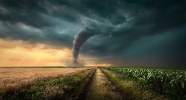 USDA Announces Corrections to Emergency Relief Program Policy to More Accurately Reflect 2020 and 2021 Natural Disaster Impacts on Crops Intended for On-Farm Use