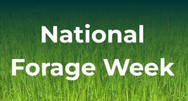 Celebrating National Forage Week