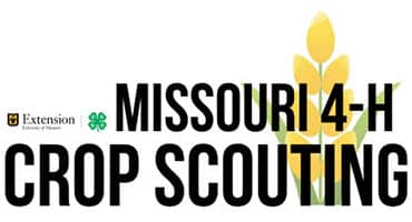 Empowering Youth in Agriculture: Missouri 4-H and FFA Host Crop Scouting Event to Foster Agronomic Knowledge and Career Pathways
