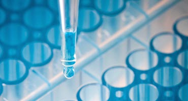 Enhancing Agriculture through Genetic Diversity: The National Animal Germplasm Program