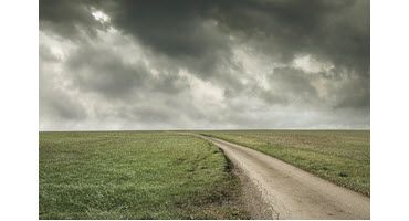 Enhancing Agricultural Decision-Making: New Automated Weather Station Supports Southwest Missouri Farmers