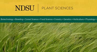 NDSU Student Receives Prestigious Award for Soybean Research