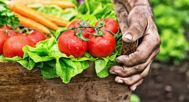 Ohio Farm Working to Have Better Relationship With Planet
