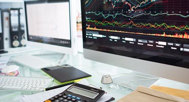 Grains and Livestock Futures Experience Mixed Results Amid Market Pressures