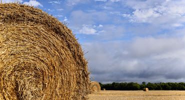 Minnesota Farmers Plant Crops, Cut Hay as Dry Weather Continues