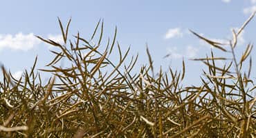 Continued Below-average Precipitation Reduces Groundwater Levels, Report Shows
