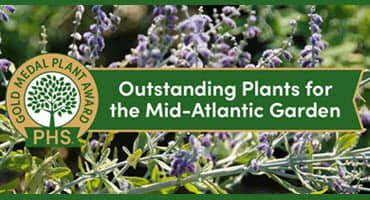 Pennsylvania Horticultural Society Announces New Gold Medal Plant Winners