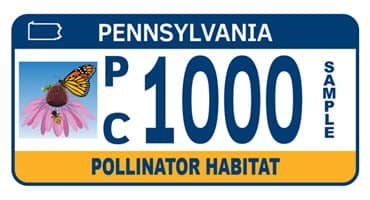 PennDOT Announces New License Plates to Help Grow and Sustain Plants and Pollinators