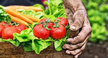 State Invites Applicants for $500k in PA Farm Bill Farm-to-school Grants