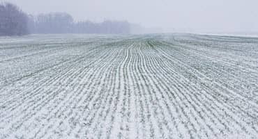 When Can Farmers Get in the Field?