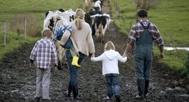 Opening Farms to Visitors Boosts Nearby Farms’ Direct Sales, and Vice Versa