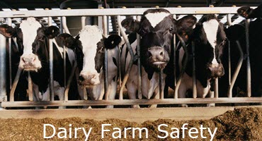 Promoting Dairy Farm Safety: Free Signs and Educational Videos Available to Pennsylvania Producers