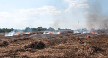 Farmers Say Burning Protects Their Livelihood, as Berks Looks to Enact Agricultural Exemption