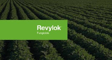 BASF Unveils Revylok: A Breakthrough Soybean Fungicide Blending Two Active Ingredients