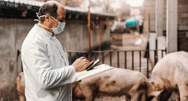 Pennsylvania Animal Diagnostic Laboratory System Plays Critical Role in Animal Agriculture