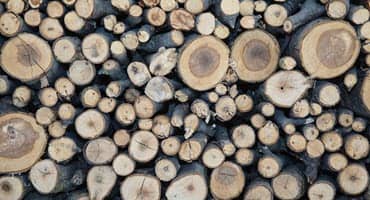 Pennsylvania Hardwoods Industry Generating $28 Billion While Sustaining Forests
