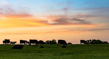 Indiana Farm Bureau Touts Legislative Successes That Will Benefit Farmers, Rural Communities