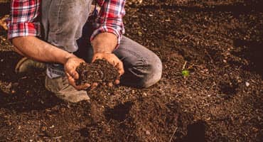 Partnership is Key for Conservation Success in Indiana