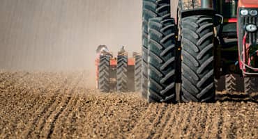 Navigating Replant Decisions in West Central Indiana Amidst Unpredictable Planting Season