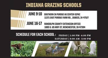 Enhance Your Grazing Skills at the Indiana Grazing School