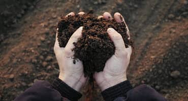 Indiana Farmers Set New Record For Conservation Practices